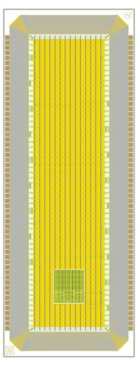 0p5x1_spc_ver